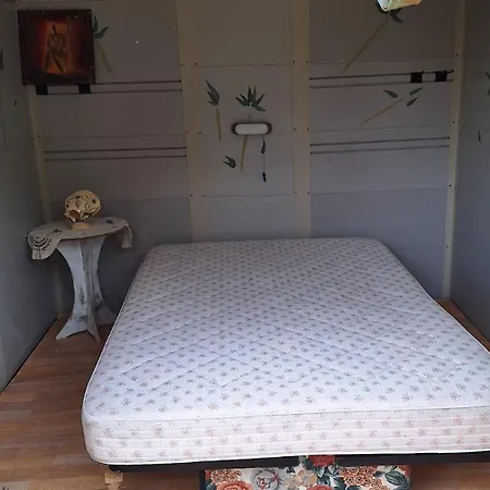 Le Cabanon A Mitch Et Pat *