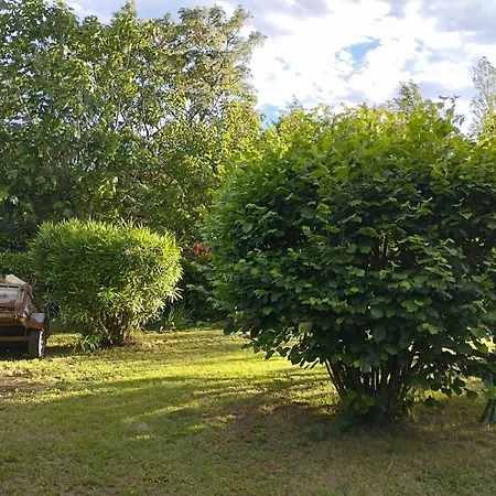 Vakantiehuis Le Cabanon A Mitch Et Pat Sérignan