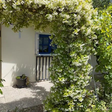 Le Cabanon A Mitch Et Pat * Sérignan